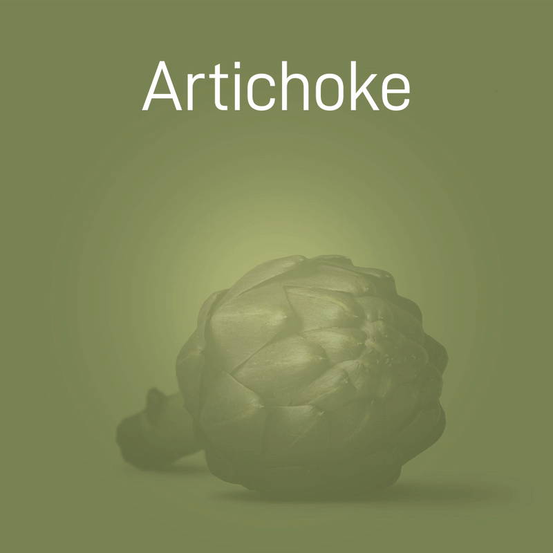 artichoke-no-intro-02