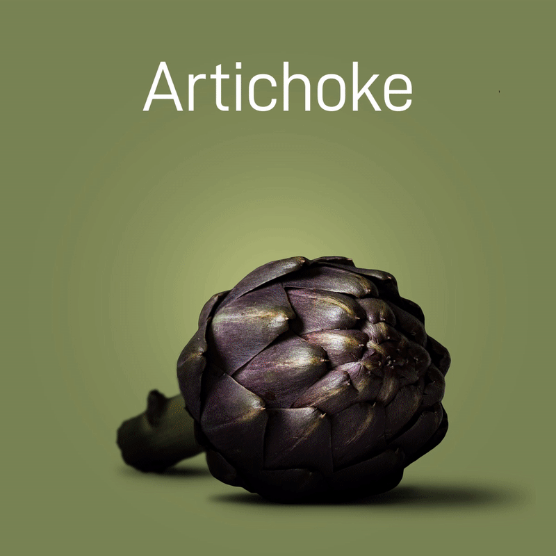 artichoke-no-intro-03