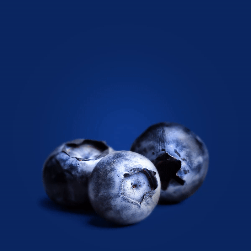 blueberry-01-fixed