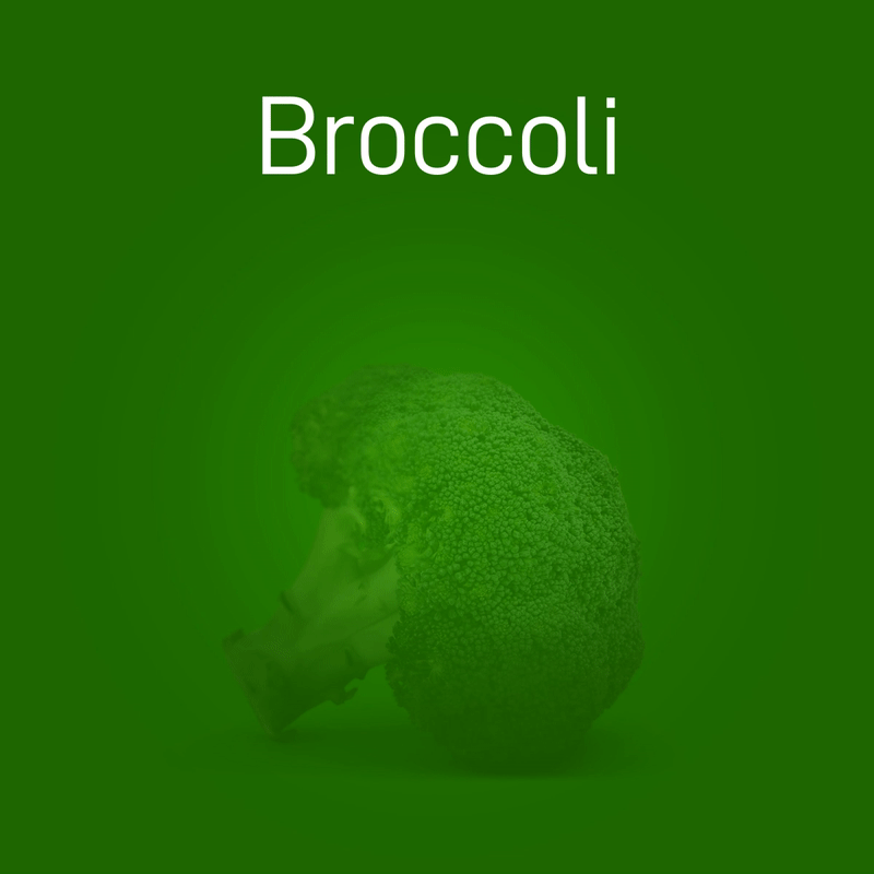 broccoli-no-intro-02