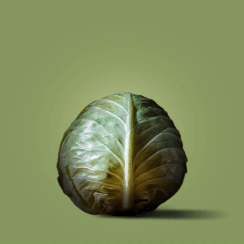 cabbage-01