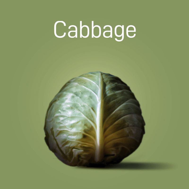 cabbage-no-intro-03