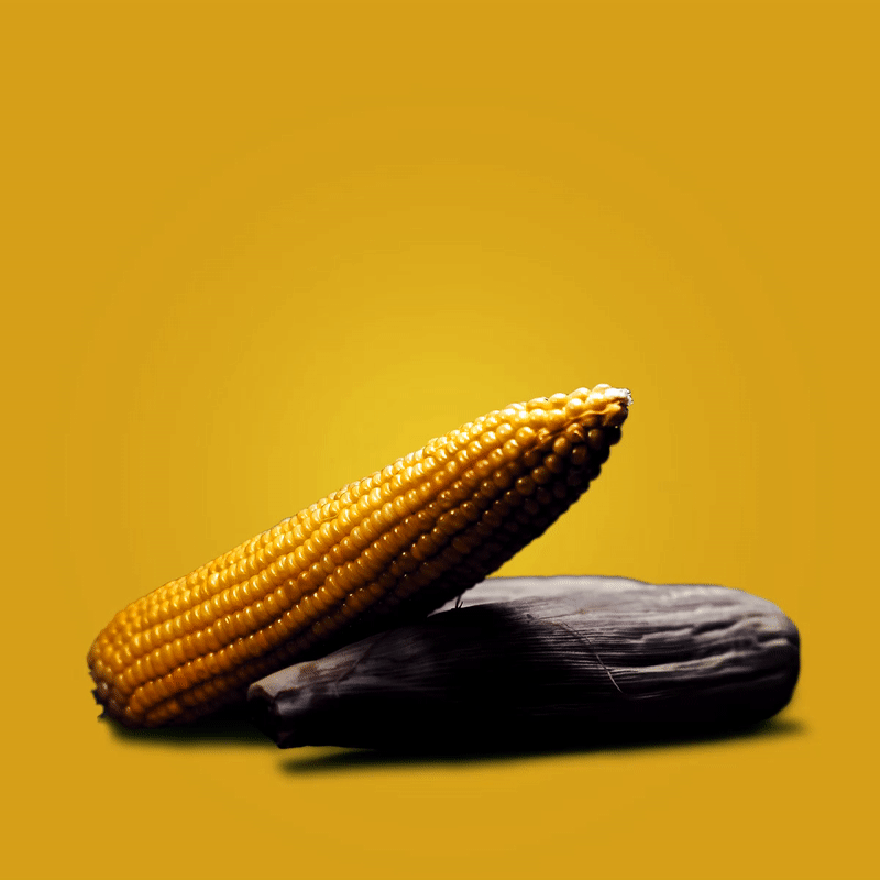 corn-01