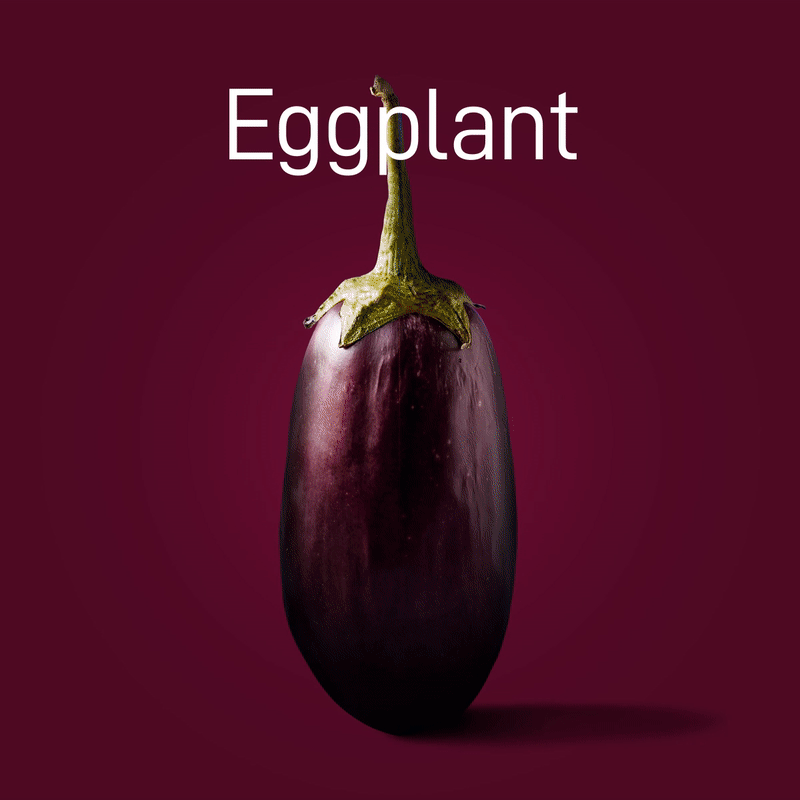 eggplant-no-intro-03