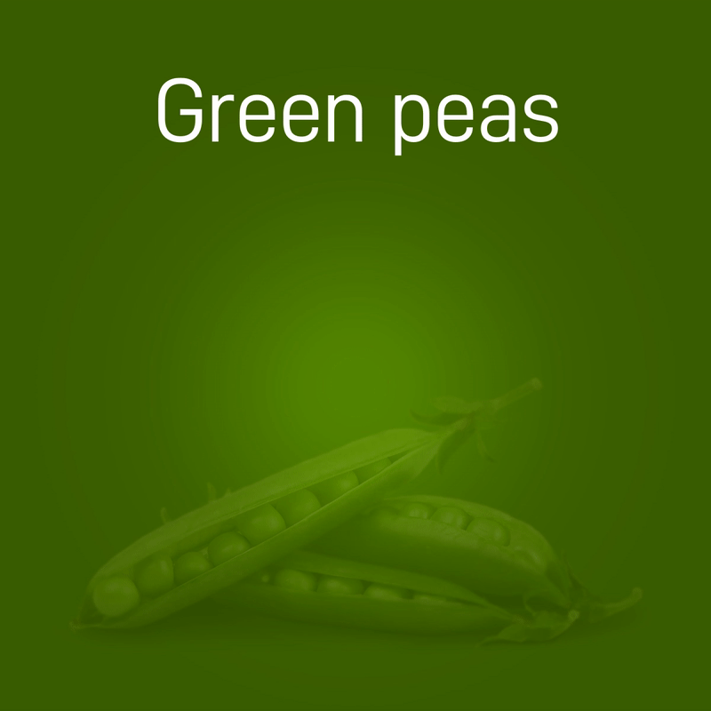 green-peas-no-intro-02