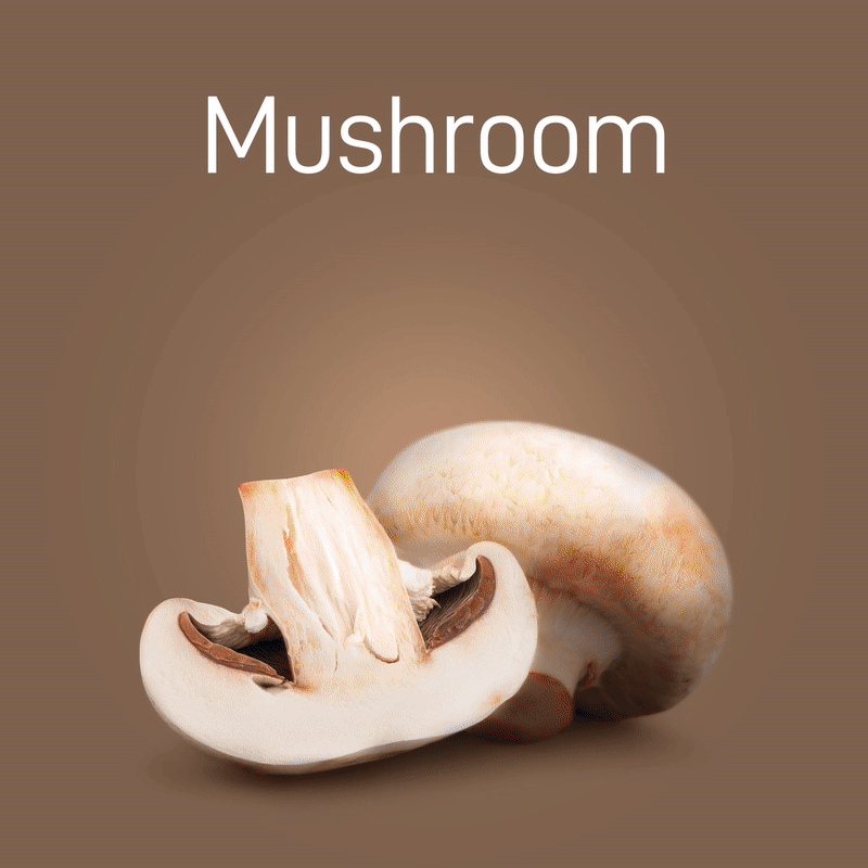 mushroom-no-intro-03