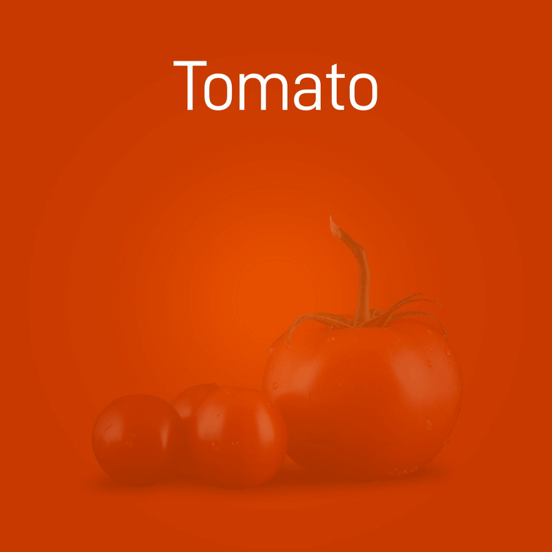 tomato-no-intro-02-FINAL