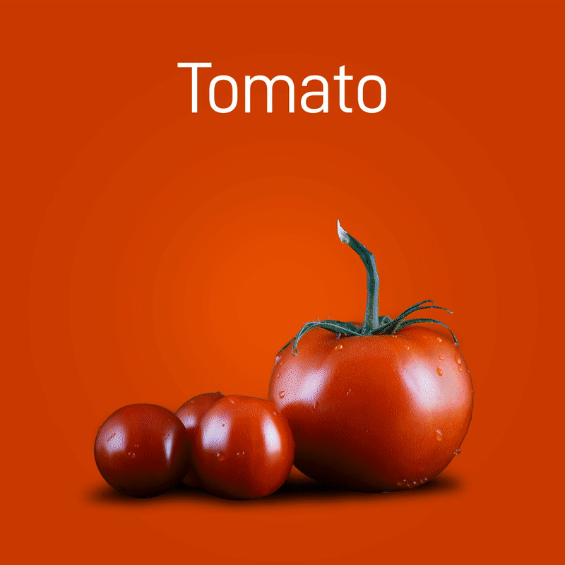 tomato-no-intro-03