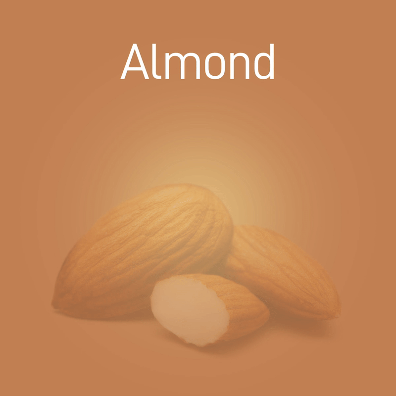 almond-no-intro-02