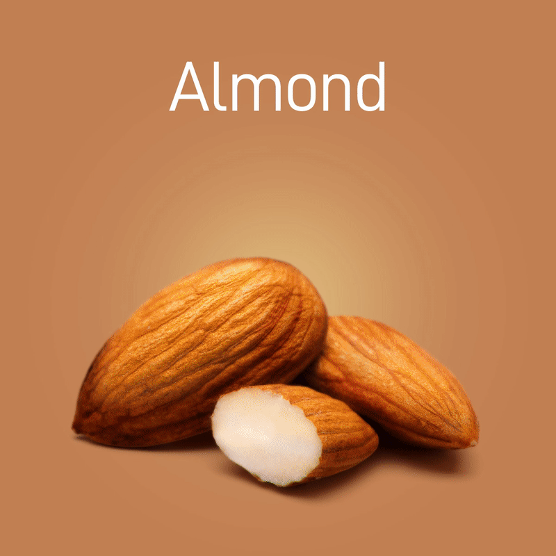 almond-no-intro-03