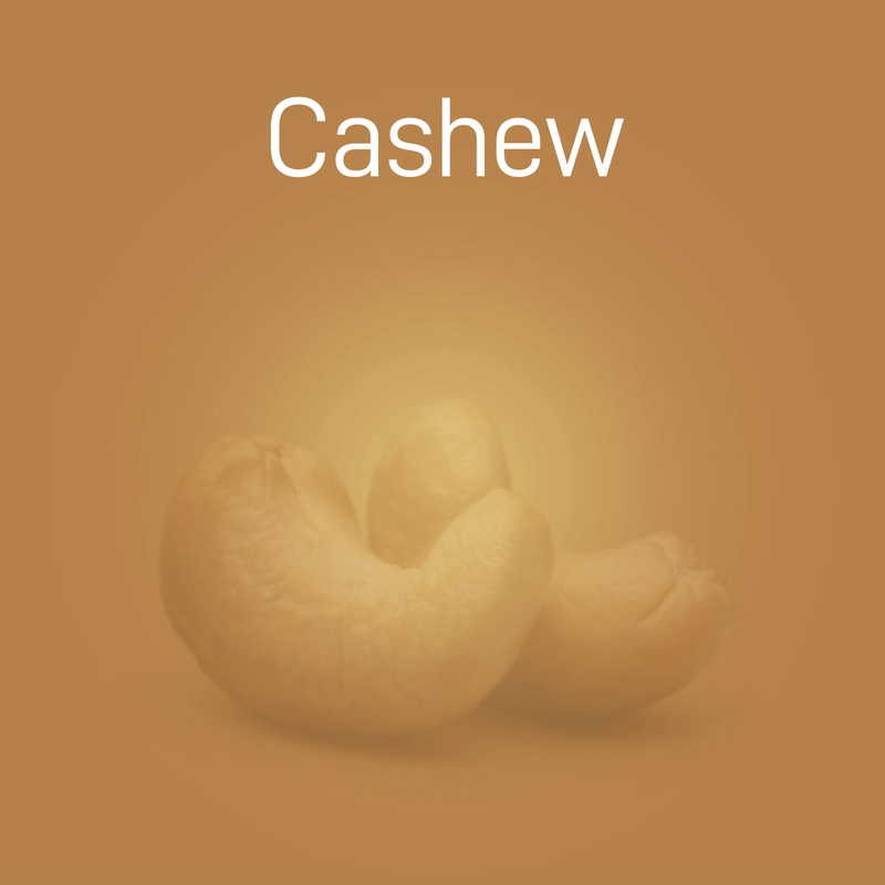 cashew-no-intro-02
