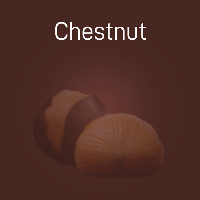 chestnut-no-intro-02