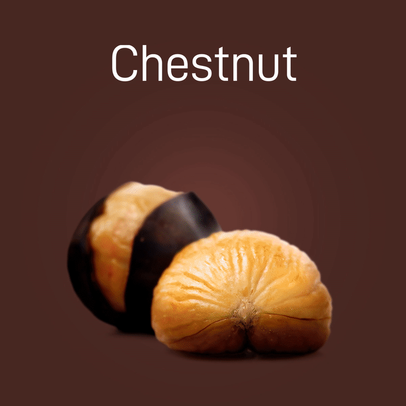 chestnut-no-intro-03