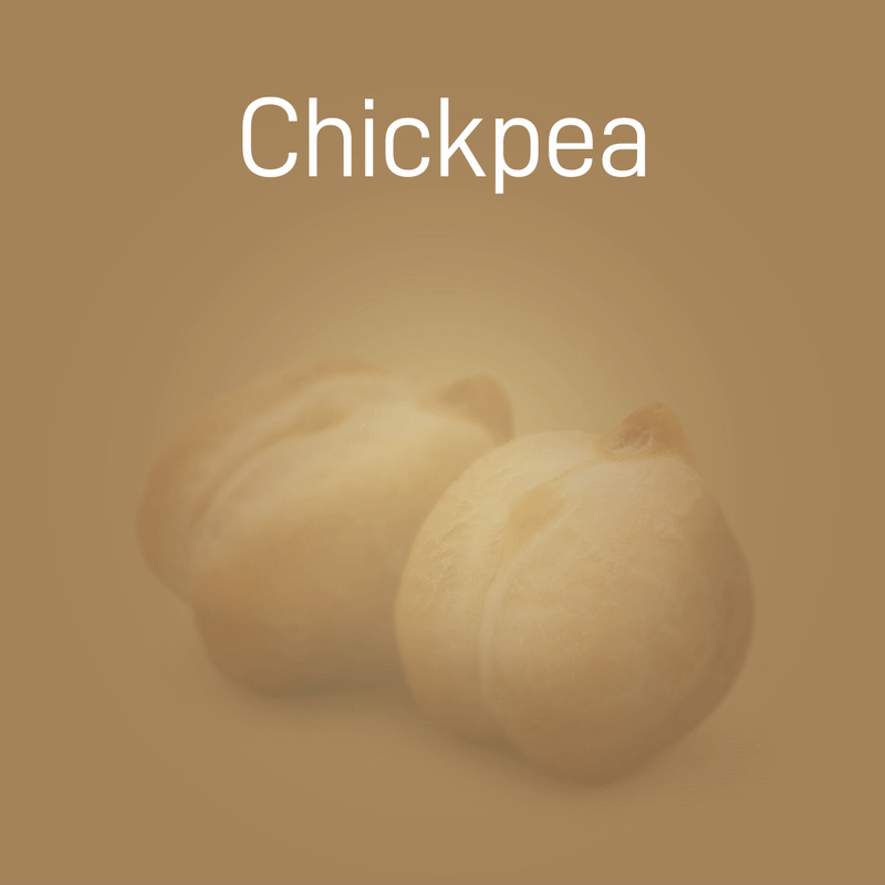 chickpea-no-intro-02