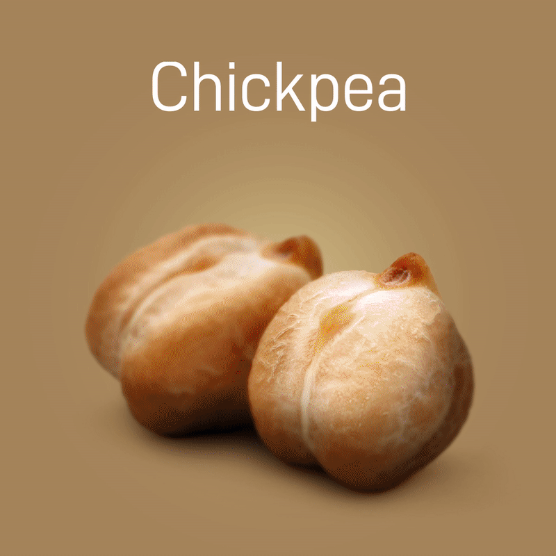 chickpea-no-intro-03