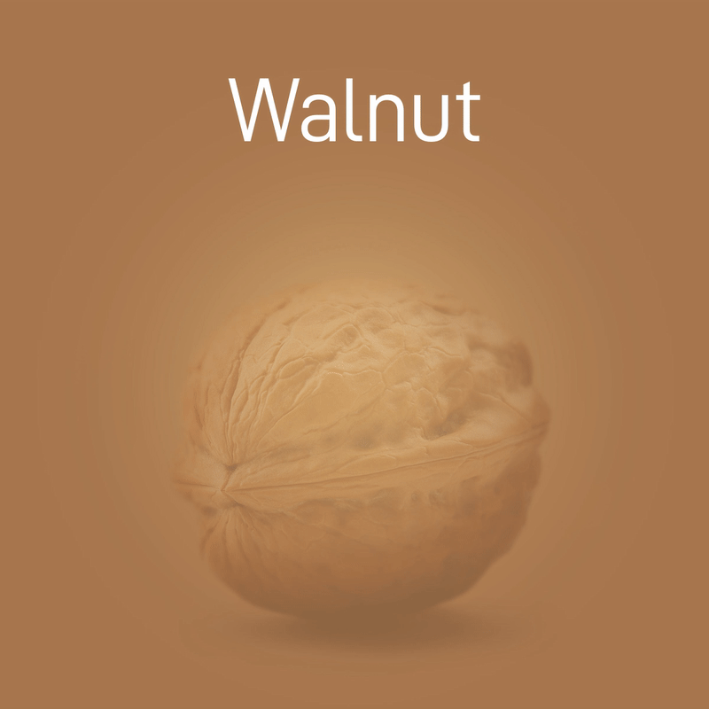 walnut-no-intro-02