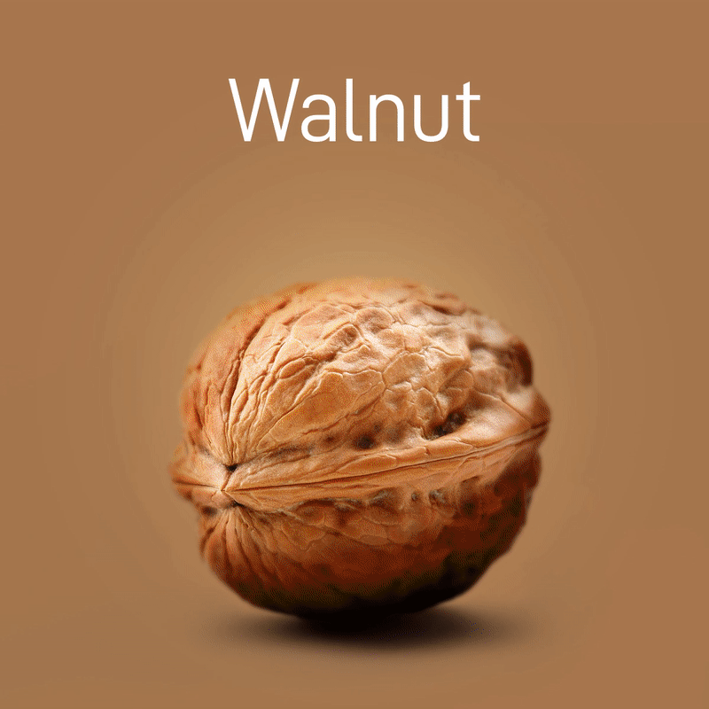 walnut-no-intro-03