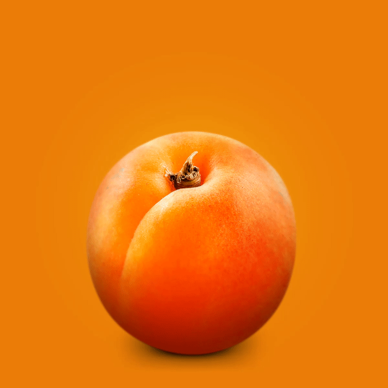 apricot-01