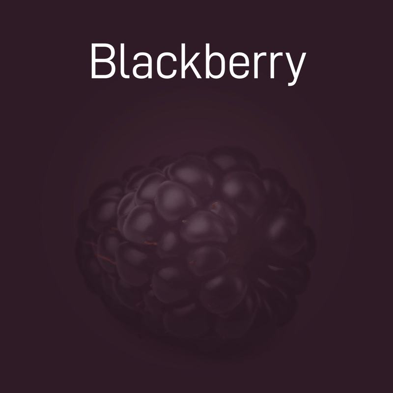 blackberry-no-intro-02