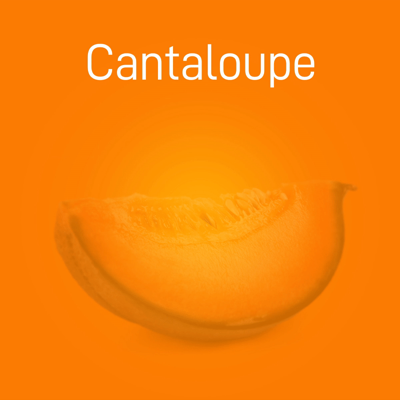 cantaloupe-02