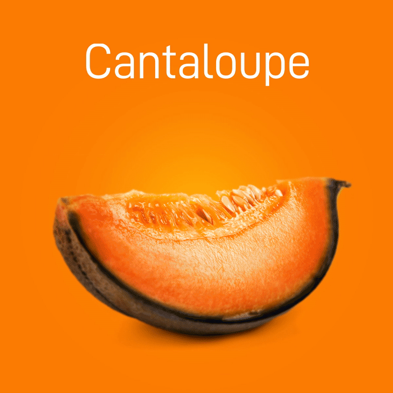 cantaloupe-03