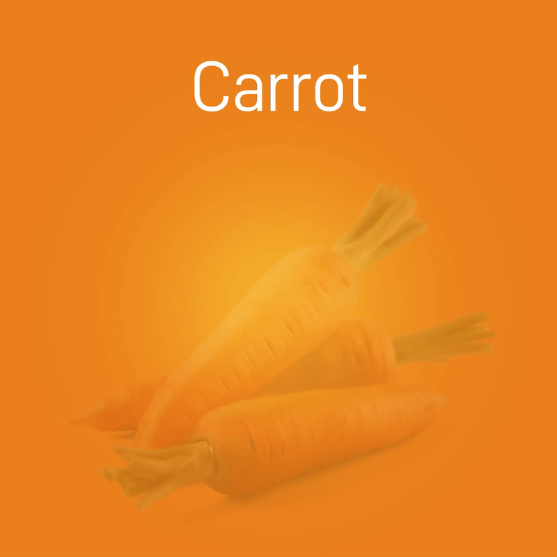 carrot-02