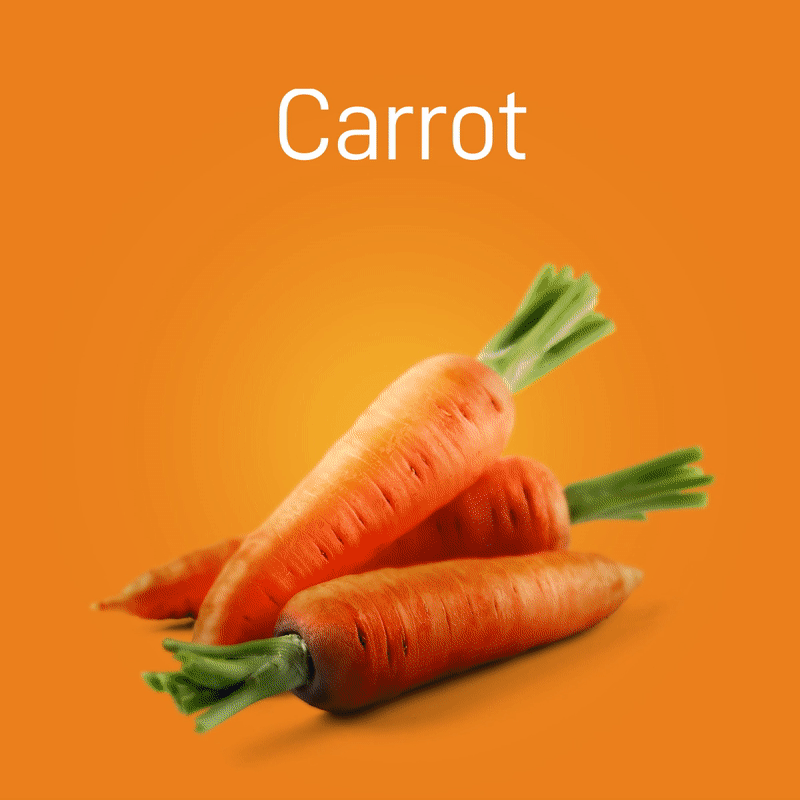 carrot-03