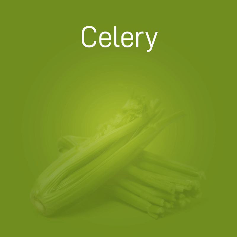 celery-no-intro-02