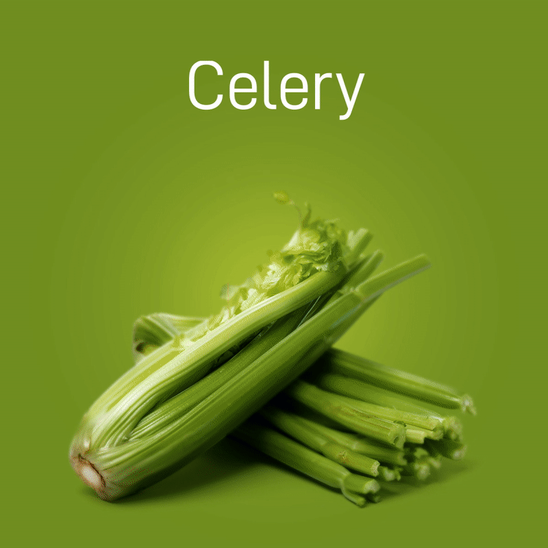 celery-no-intro-03