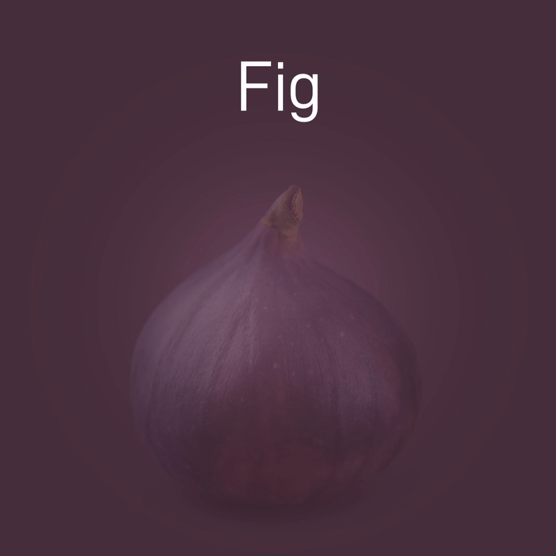 fig-no-intro-02