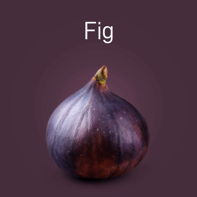fig-no-intro-03