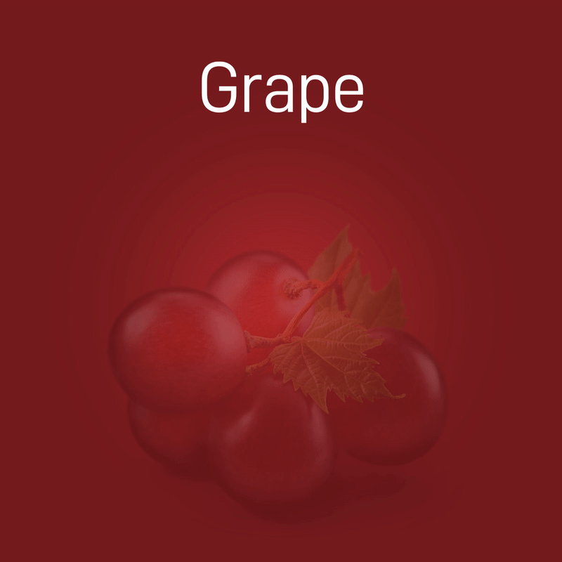grape-no-intro-02