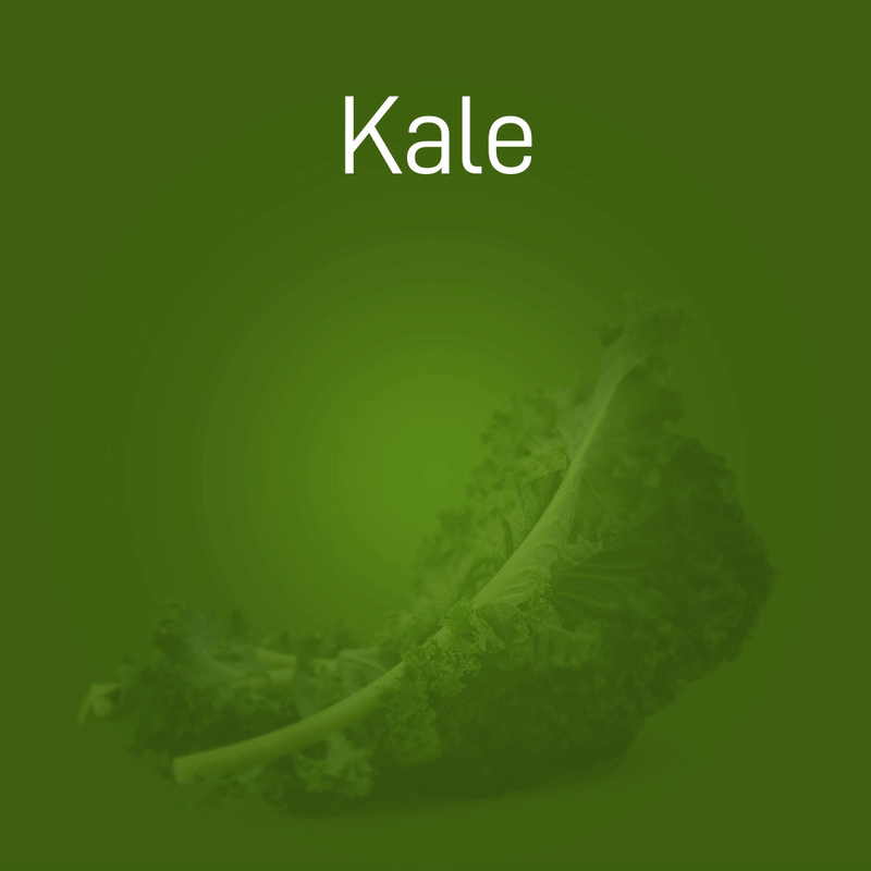 kale-no-intro-02