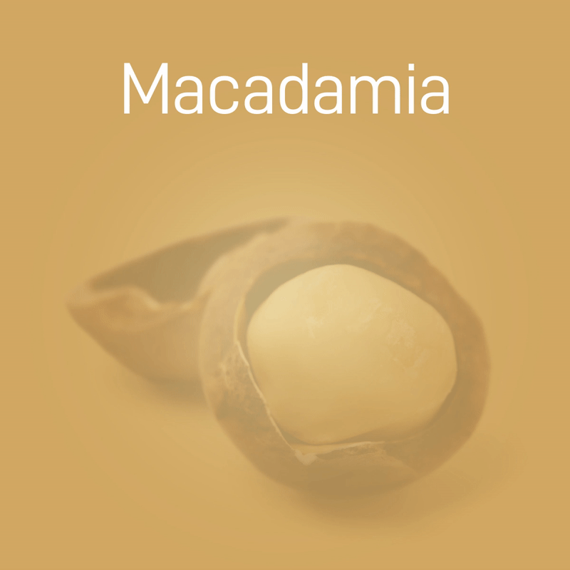macadamia-02