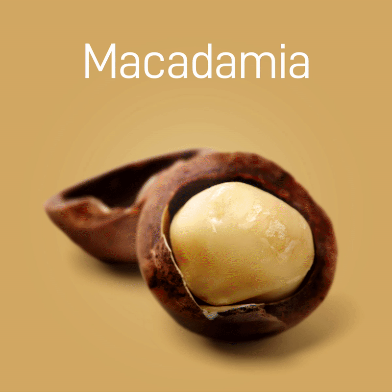 macadamia-03