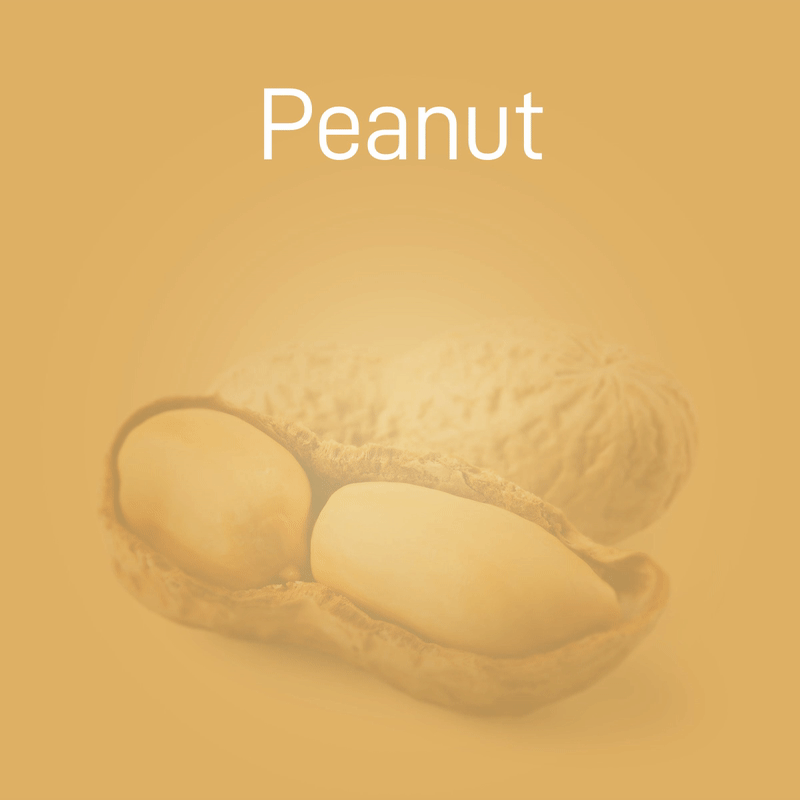 peanut-02