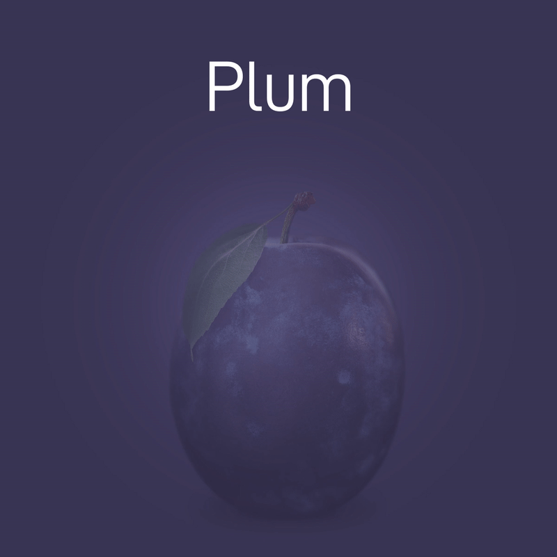 plum-no-intro-02