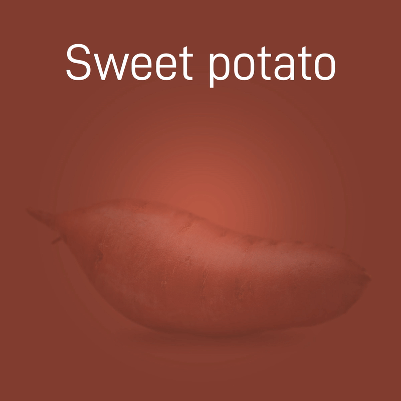 sweet-potato-02