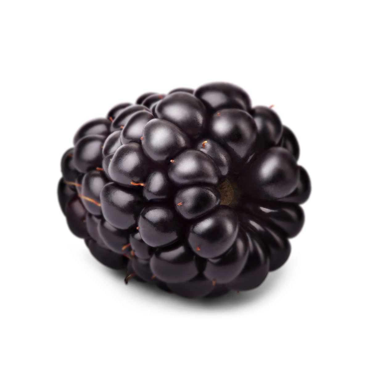 blackberry-centered-min