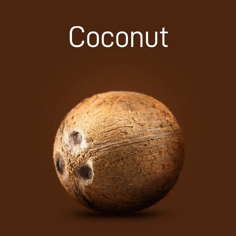 coconut-03