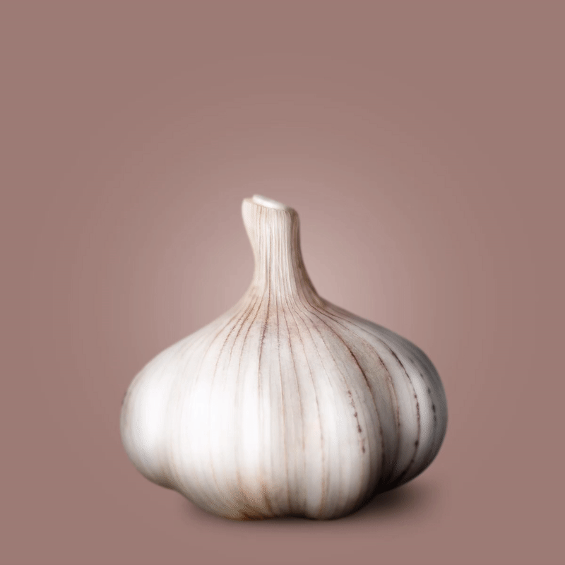 garlic-01