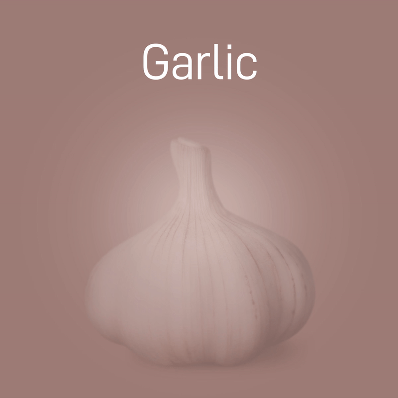garlic-02