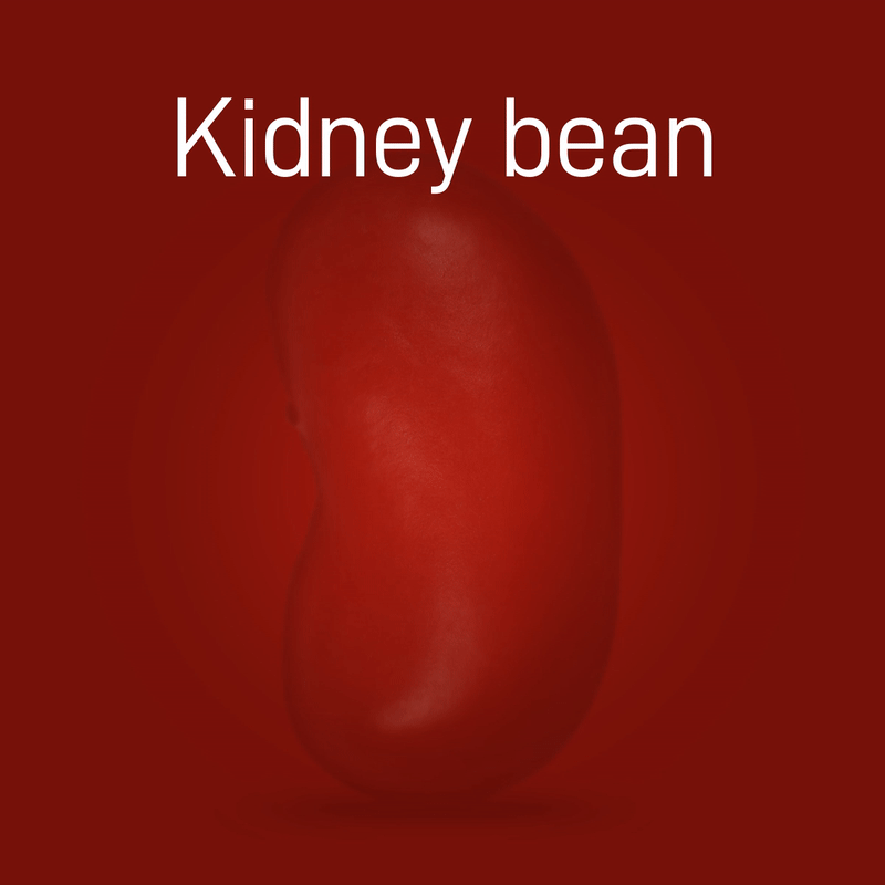 kidney-beans-02