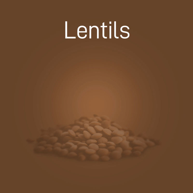 lentils-02