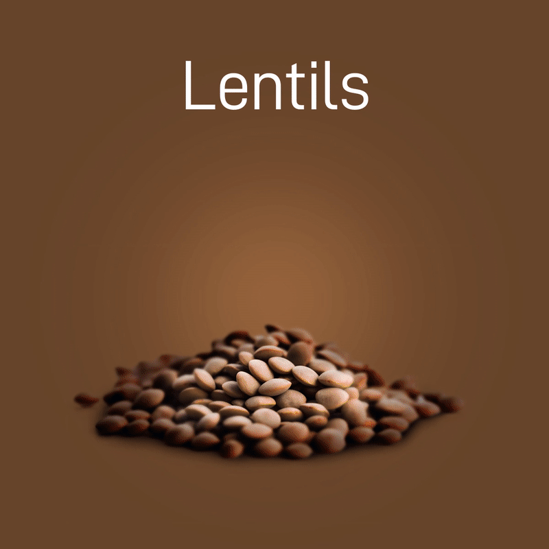 lentils-03