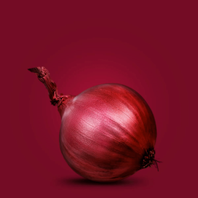 onion-01