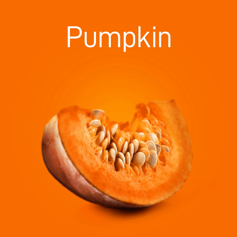 pumpkin-03