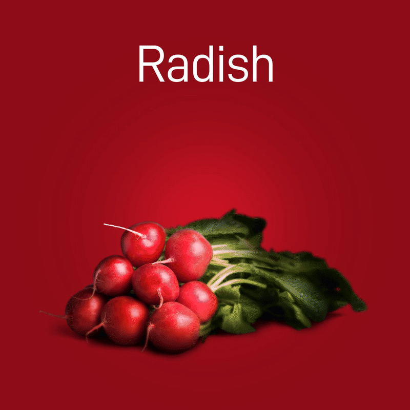 radish-03