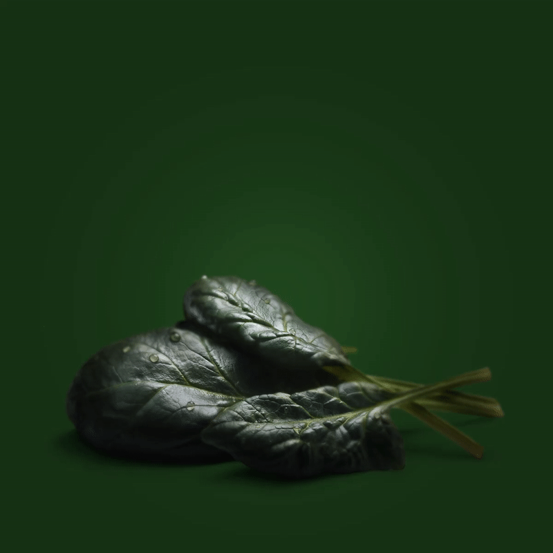 spinach-01