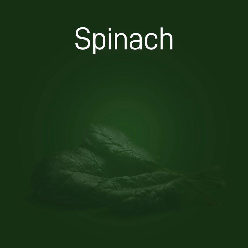 spinach-02
